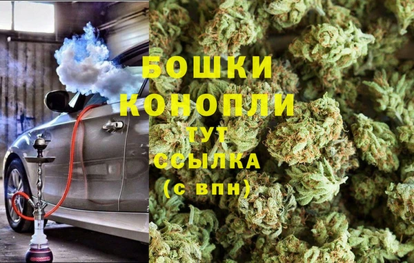 дмт Богданович