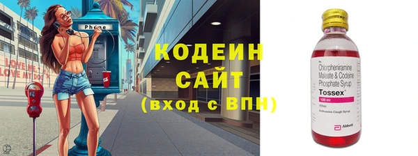 дмт Богданович