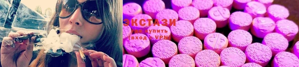 дмт Богданович