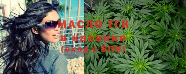 дмт Богданович