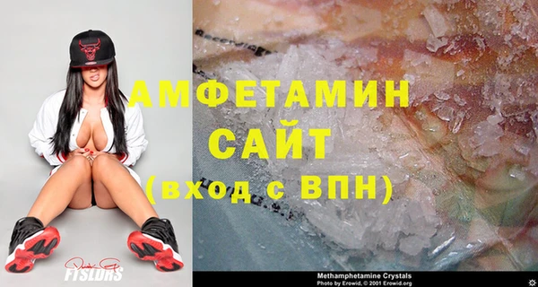 дмт Богданович
