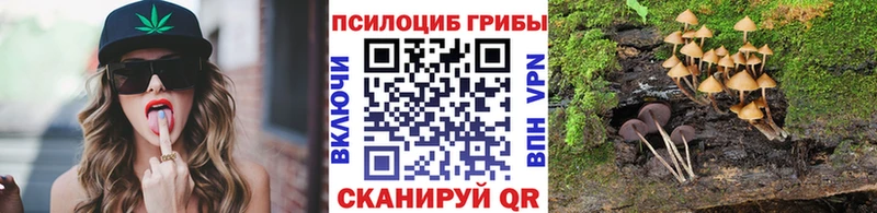 Галлюциногенные грибы прущие грибы  Навашино 